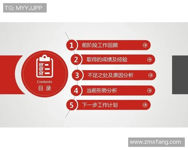 比勤费在不莱梅比赛中的表现如何分析与总结