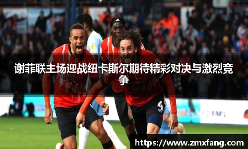 谢菲联主场迎战纽卡斯尔期待精彩对决与激烈竞争